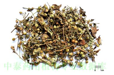 药材图片